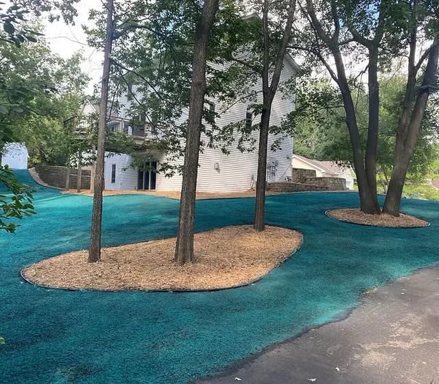 A driveway with trees in the middle of it