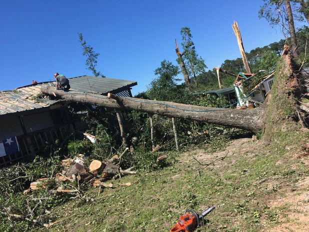 A fallen tree on a house with a person cutting it; green grass, blue sky.