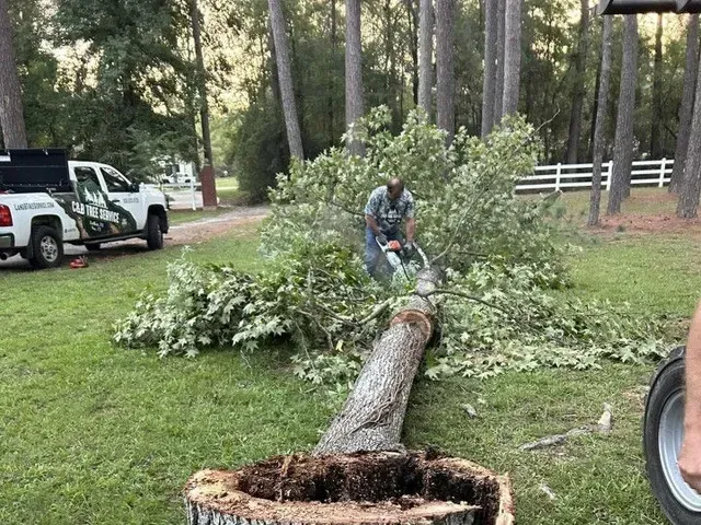 Man cutting a fallen tree with a chainsaw in a grassy yard, with a truck and white fence in the background.