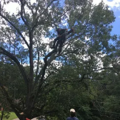 A tree trimmer in dark clothing cutting a tree branch; a person is on the ground. Blue sky.