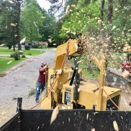 A person operating a yellow wood chipper in a residential area, ejecting wood chips.