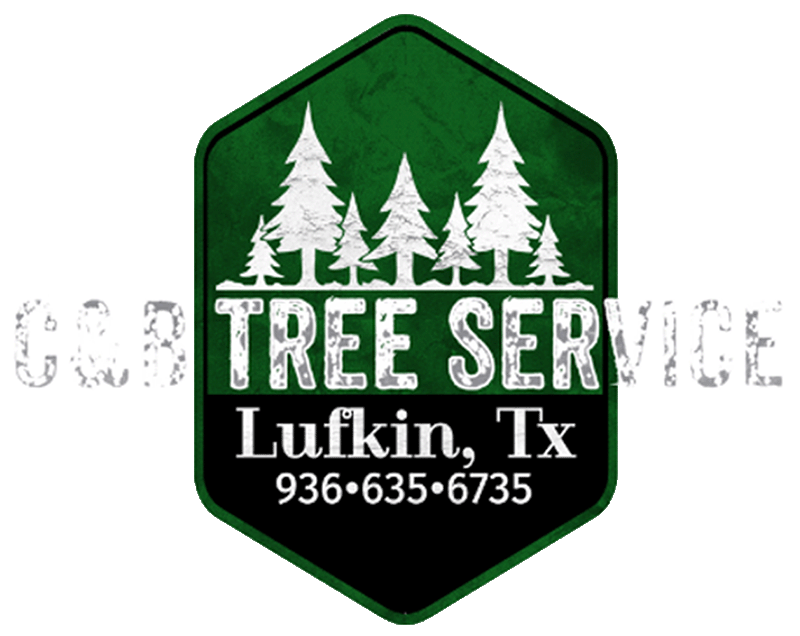 Logo for C&R Tree Service in Lufkin, TX: green hexagon with trees, white text, and phone number.