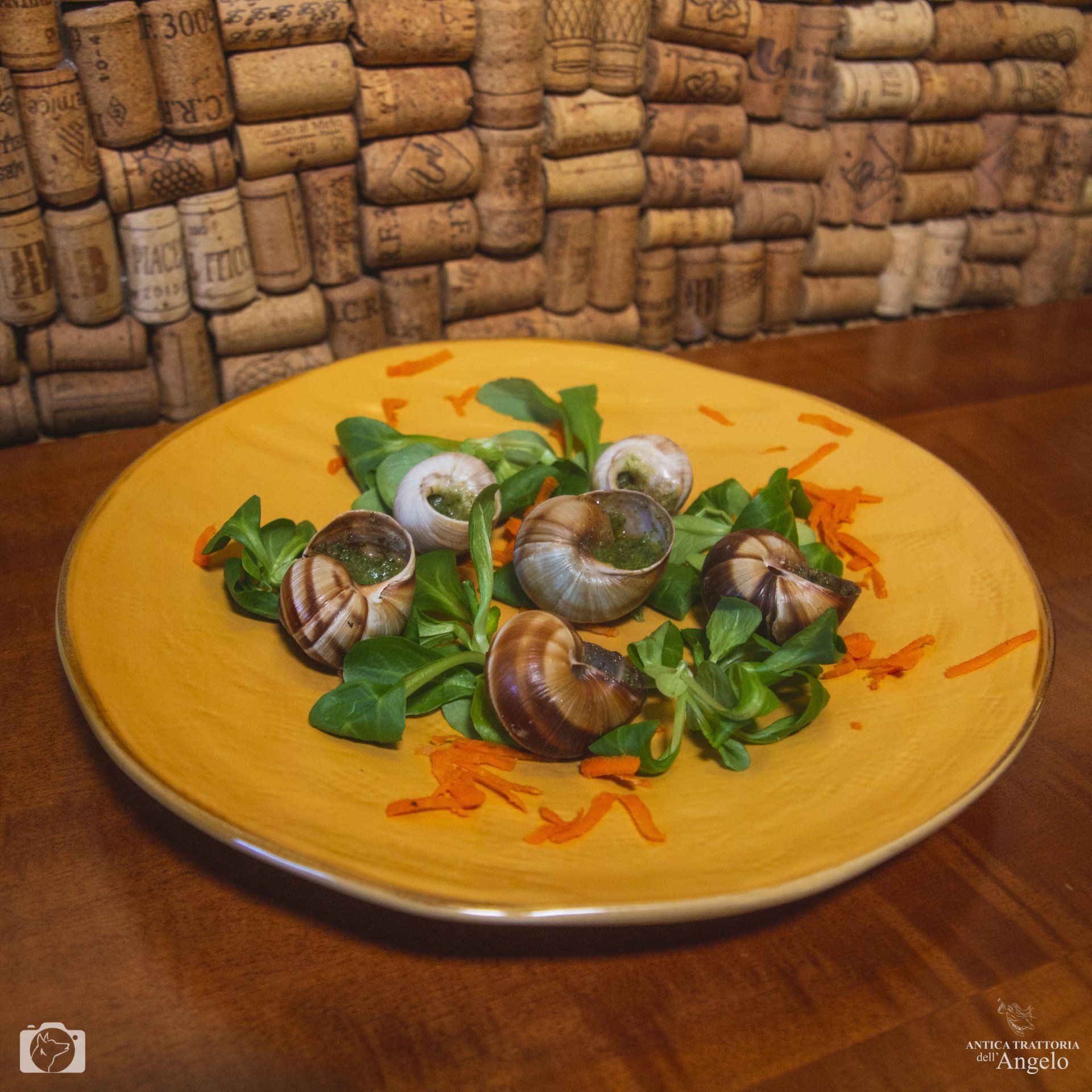 Trattoria all'Angelo