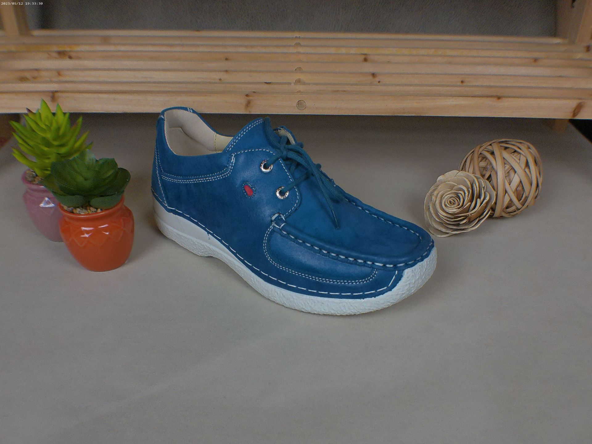 Een blauwe schoen staat op een tafel naast een potplant.