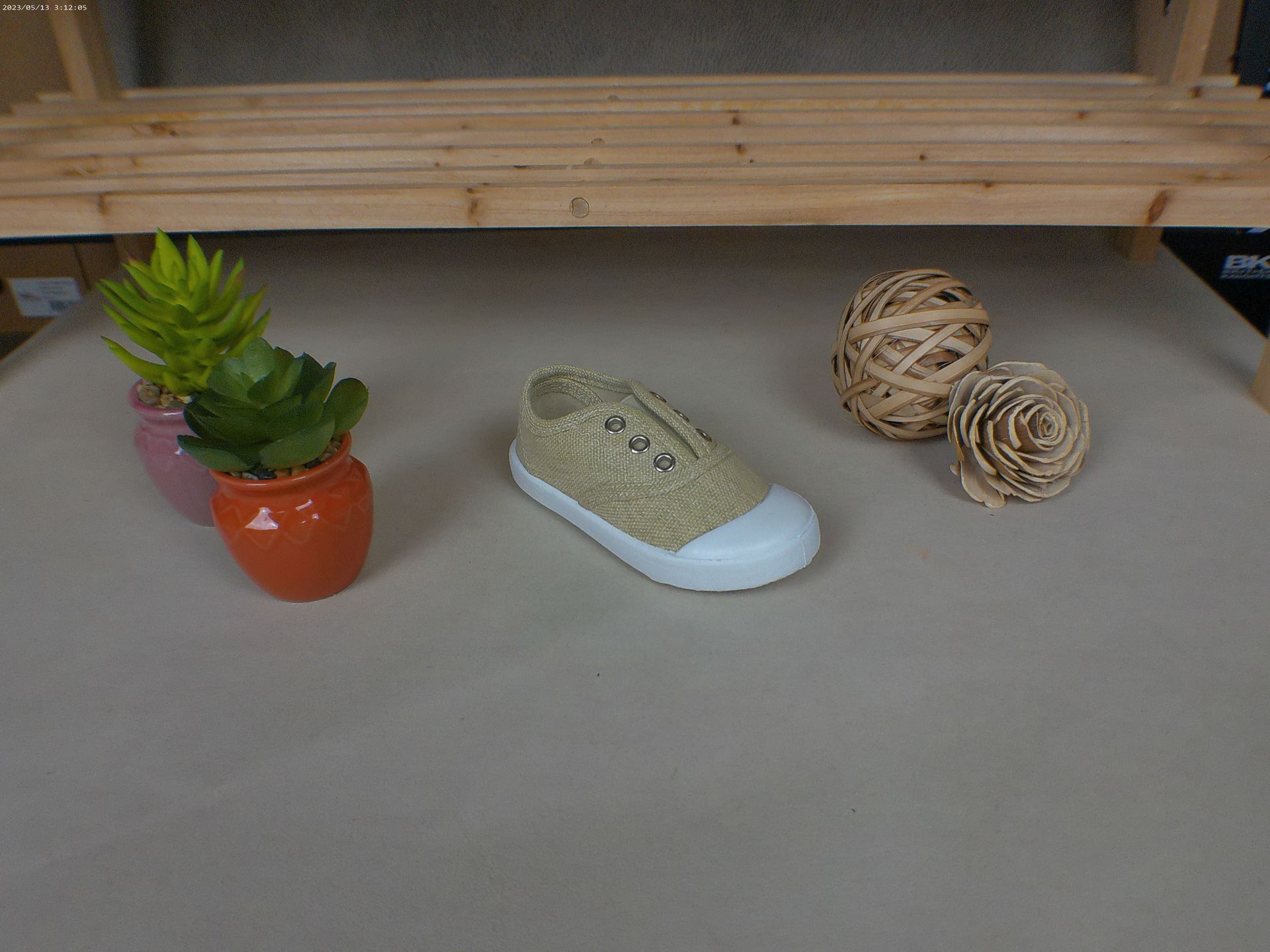 Een schoen staat op een tafel naast een potplant.