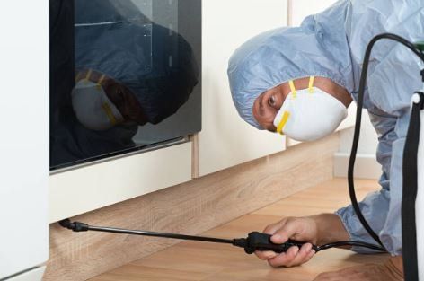 DISINFESTAZIONE IN AMBIENTI PUBBLICI