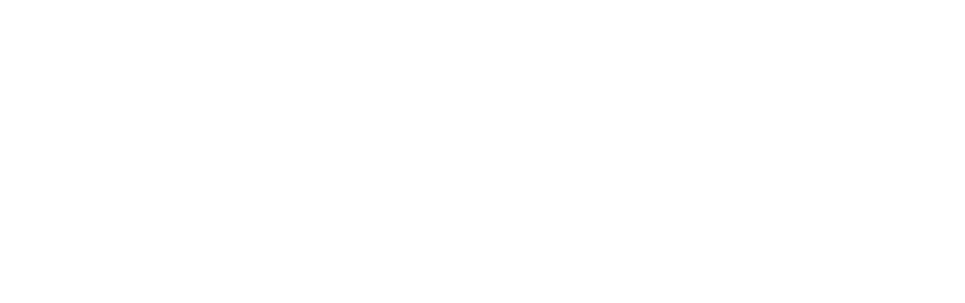 News 8 logo