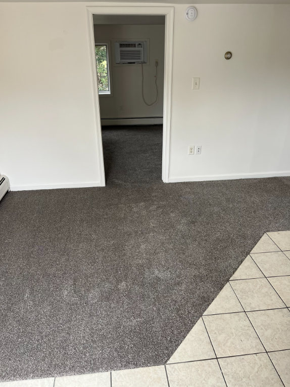 116 Prowell Drive Apt 5 Camp Hill Apartment Living Room Photo