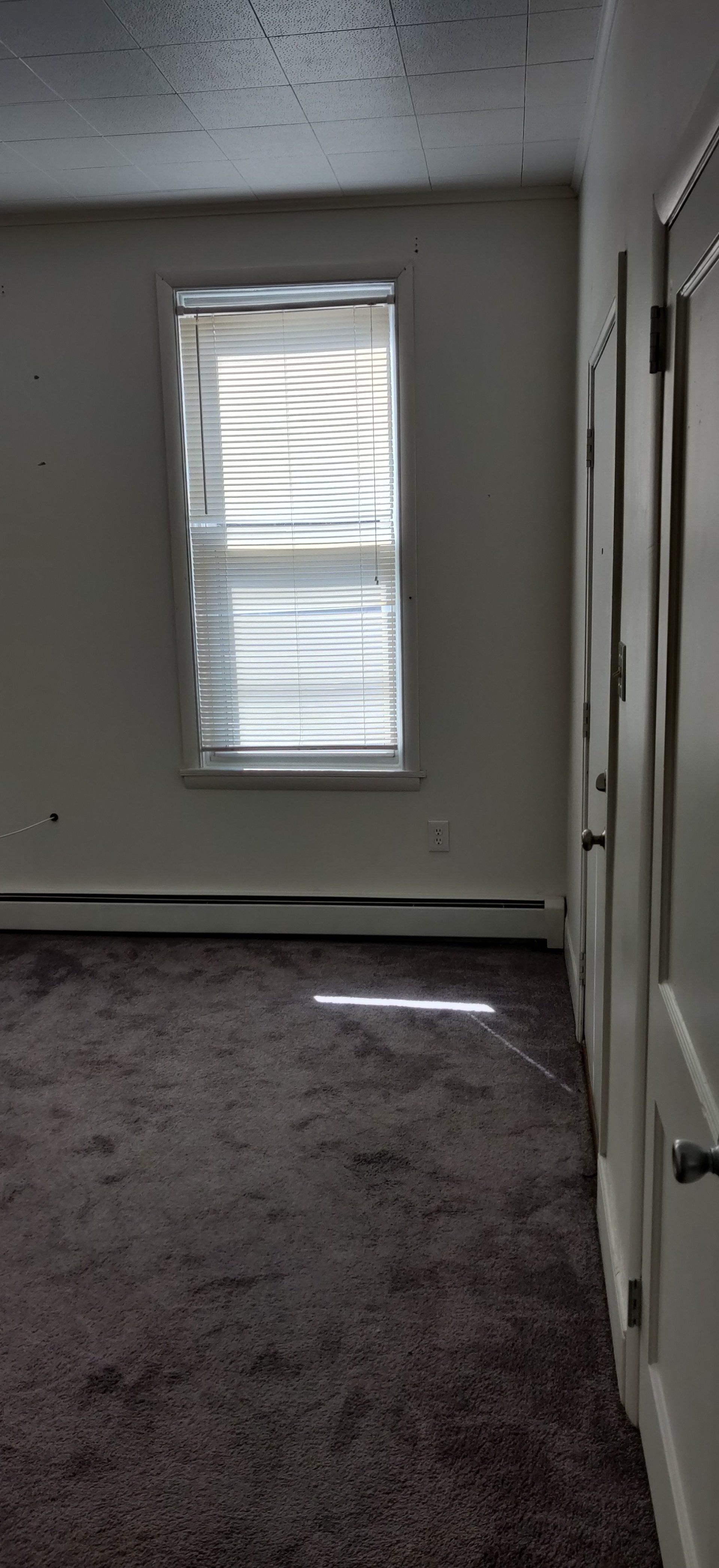 239 E Main-St Shiremanstown Apt A Living Room Photo #2