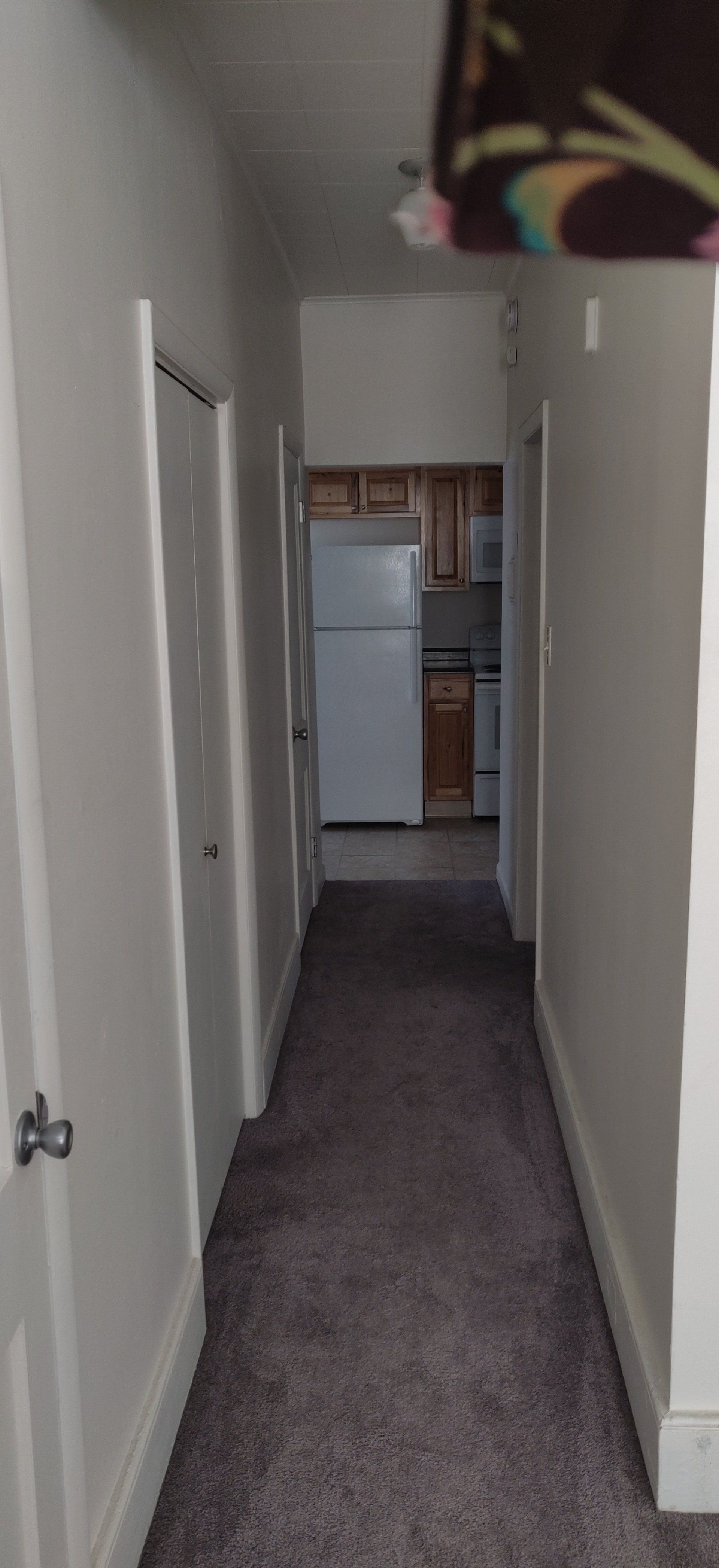 239 E Main-St Shiremanstown Apt A Hallway Photo #1