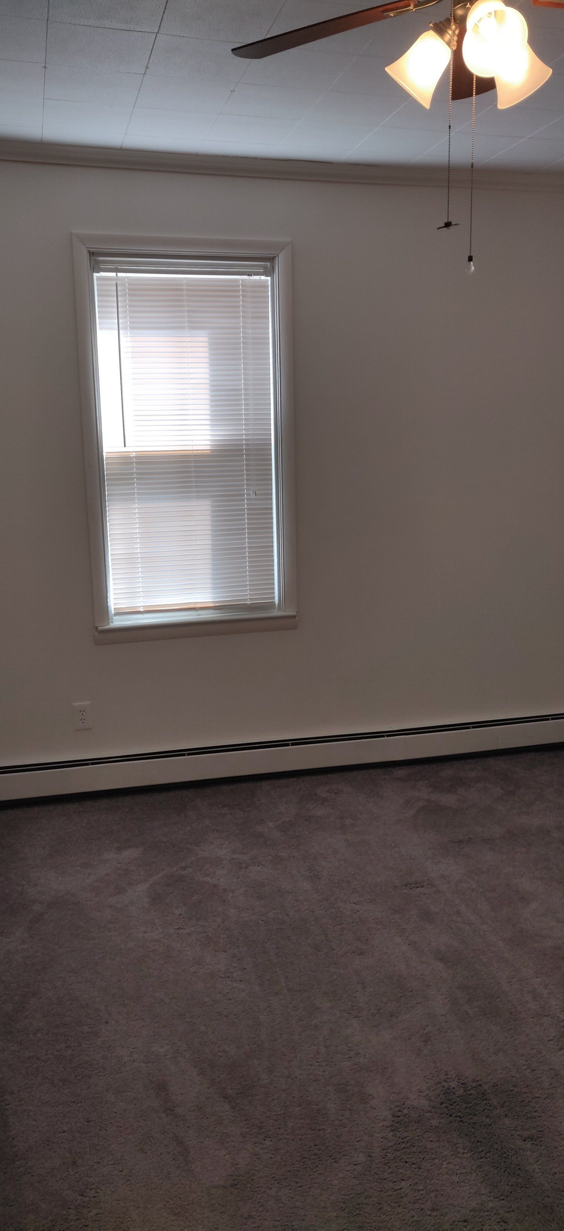 239 E Main-St Shiremanstown Apt A Bedroom Photo #2