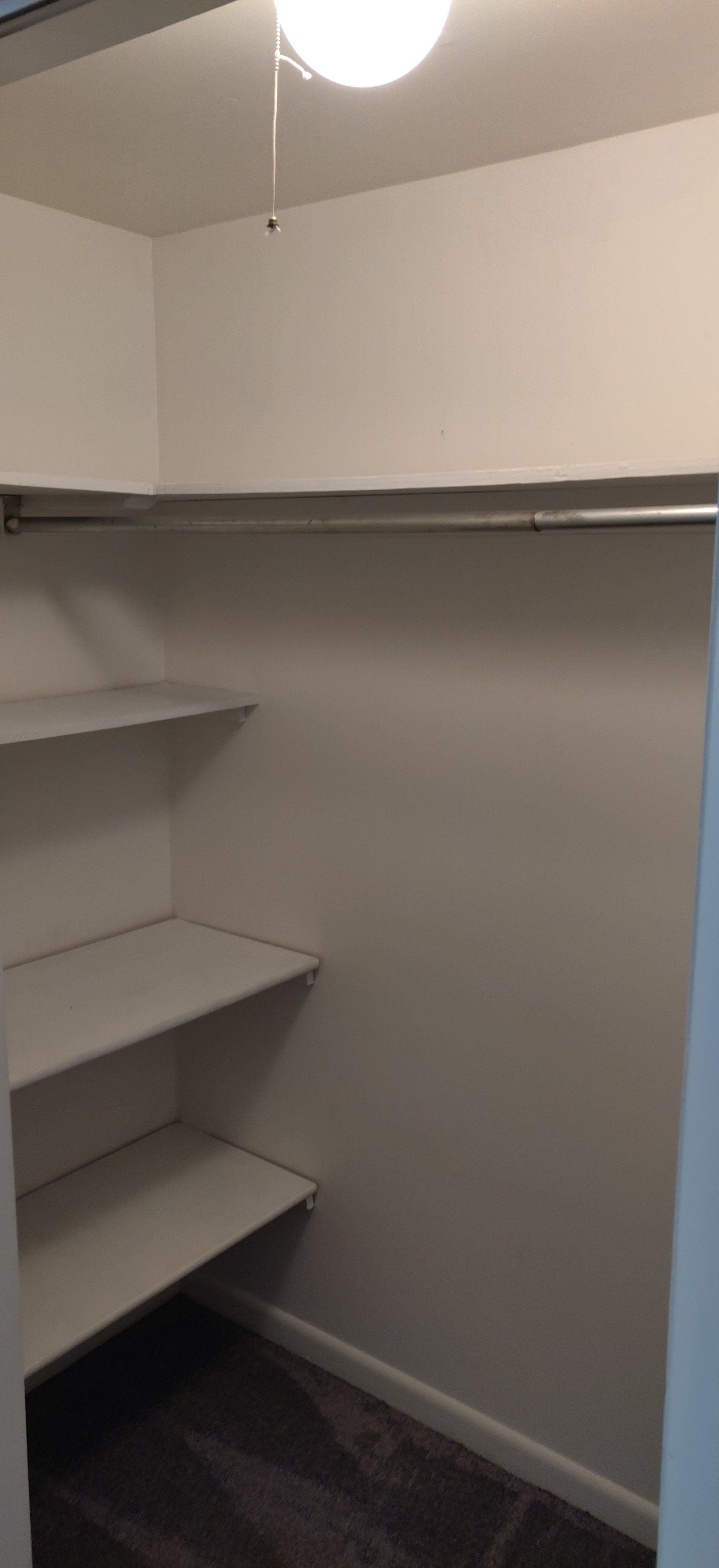 239 E Main-St Shiremanstown Apt A Closet 1 Photo #1