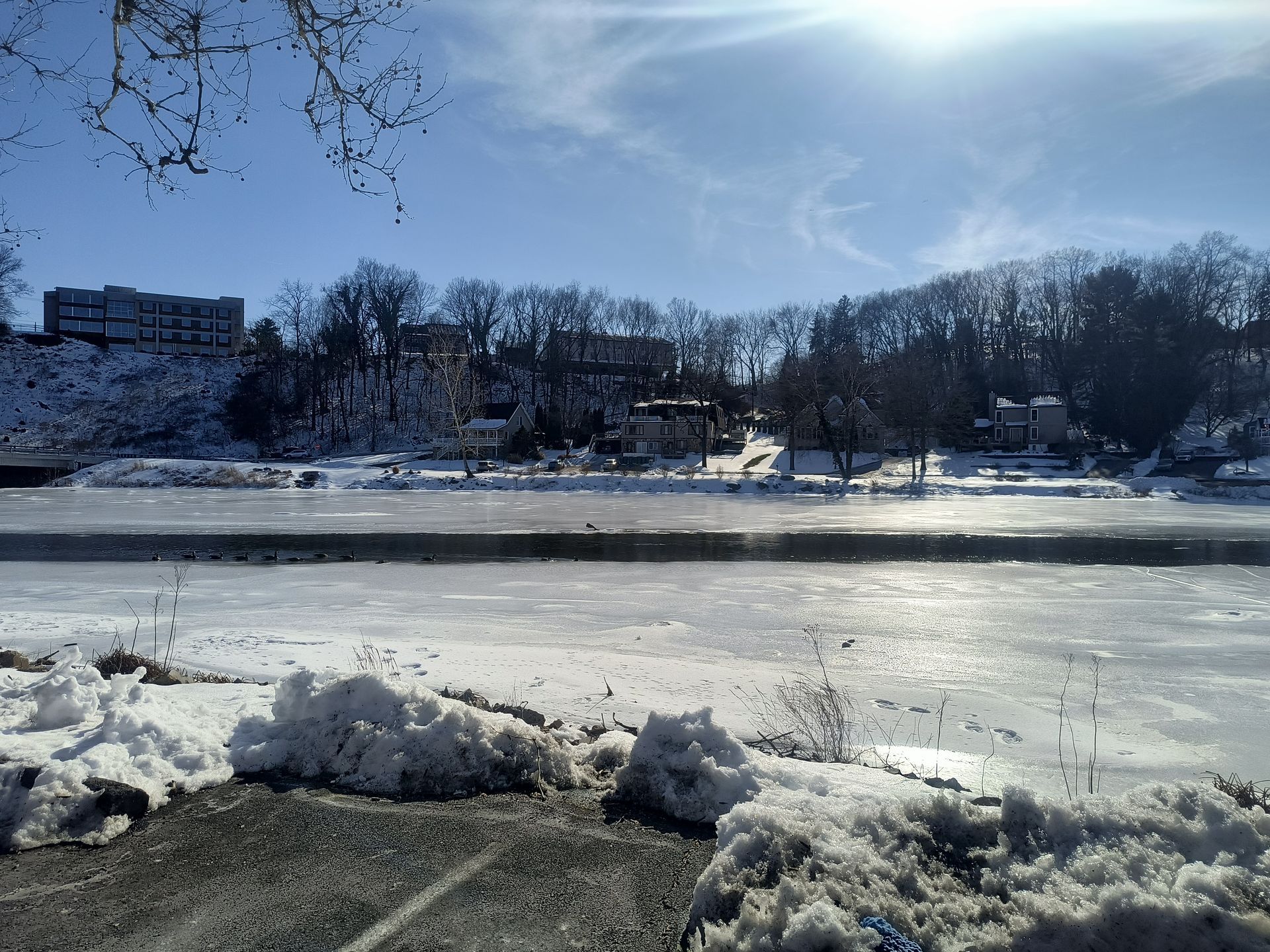 112 Prowell Dr. Apt 8 Camp Hill Apartment View of Creek Photo