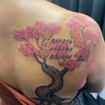 A woman has a tattoo of a cherry blossom tree on her back.