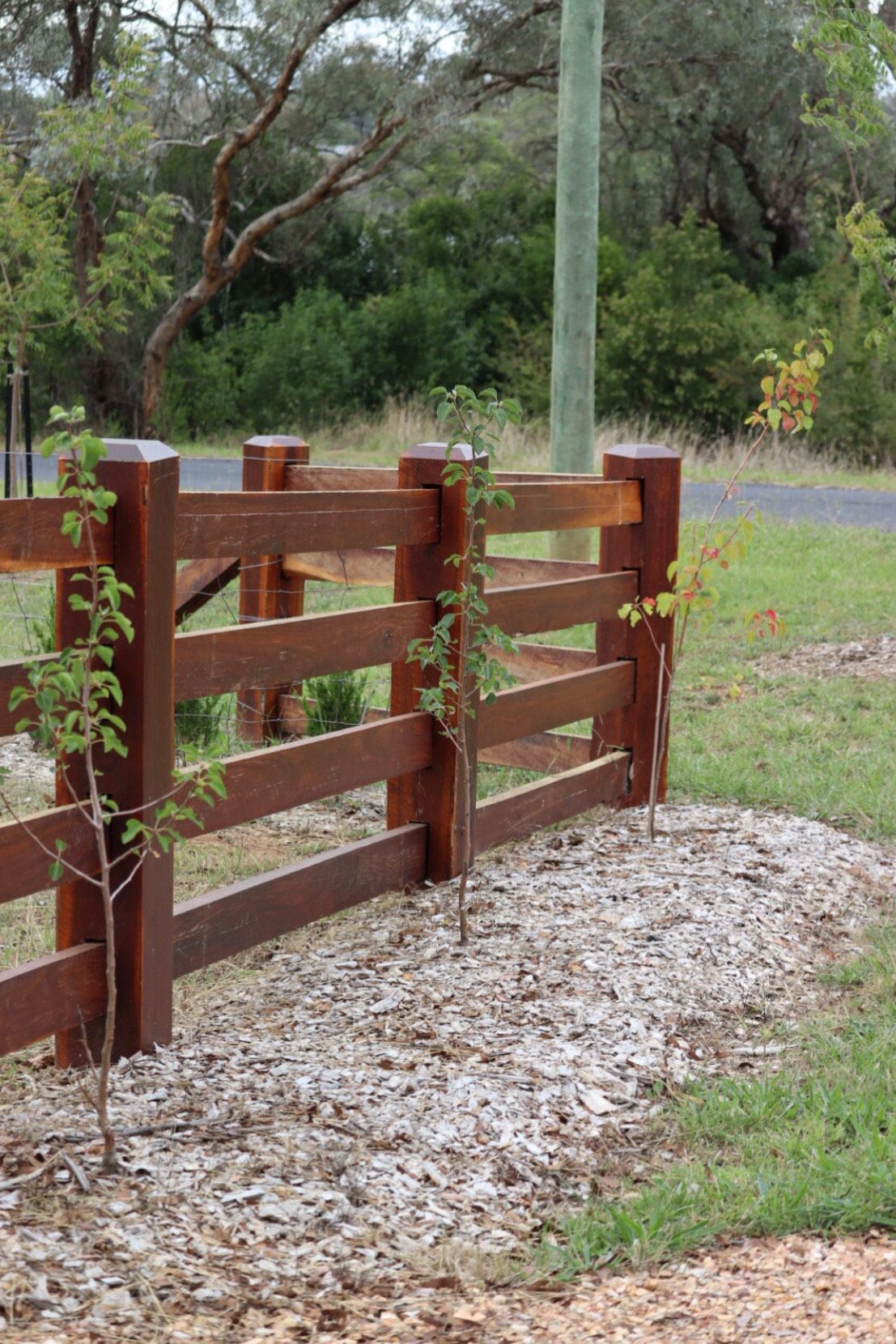 A wooden fence with trees growing behind it