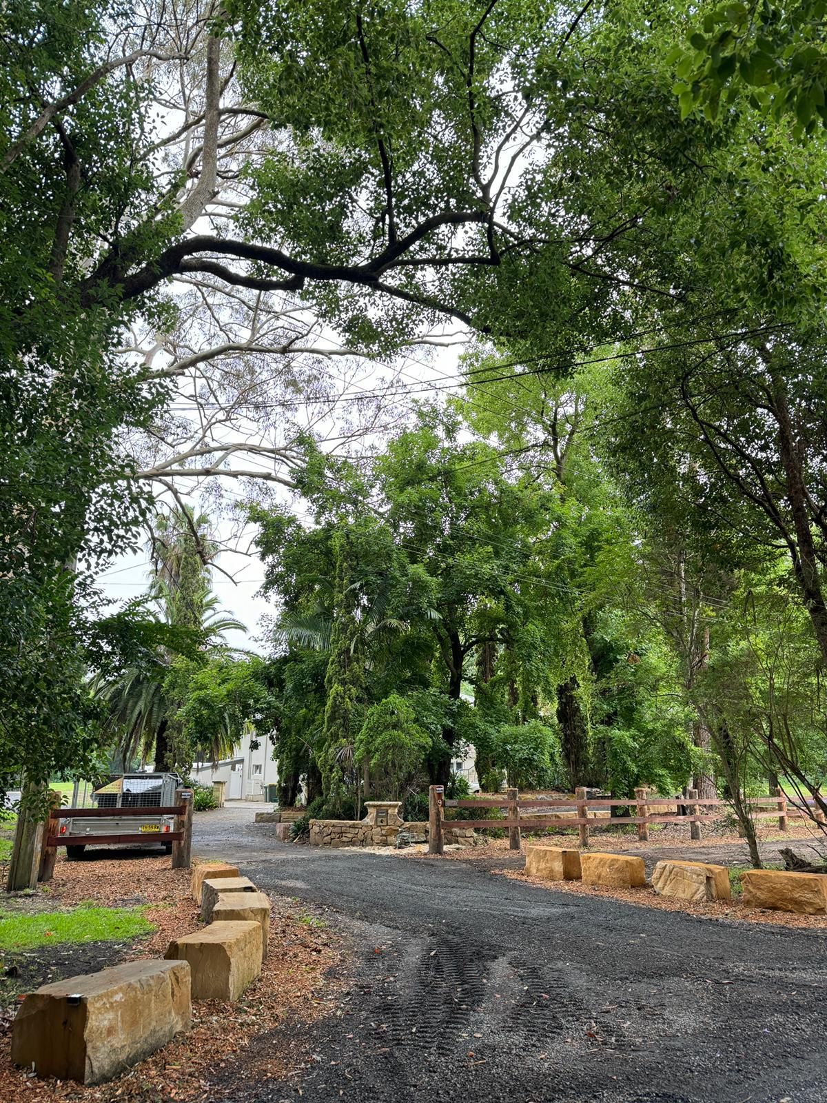 A path surrounded by trees and rocks in a park.