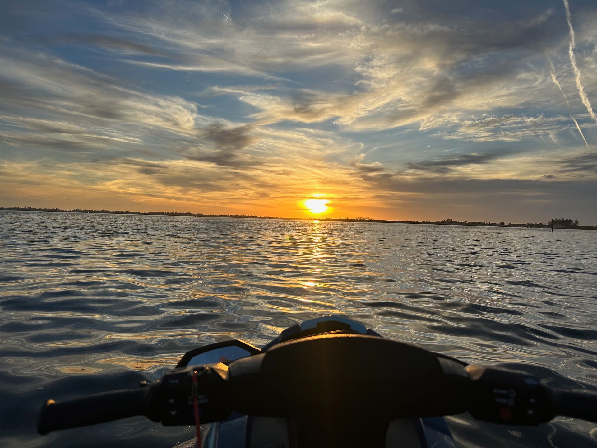 Little Philly making friends and new family everywhere he goes. 