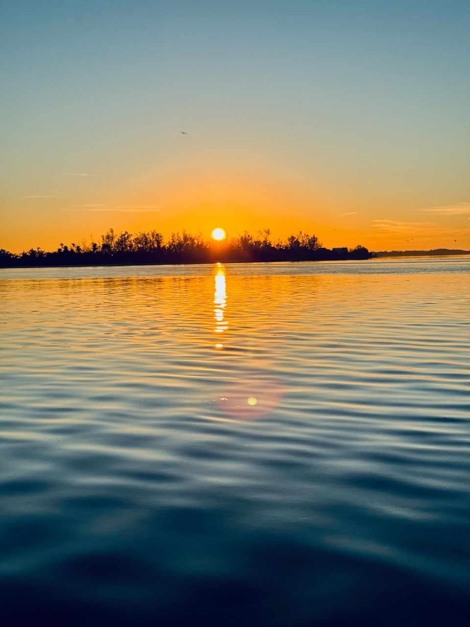 Grandfather and grandson driving pontoon boat.