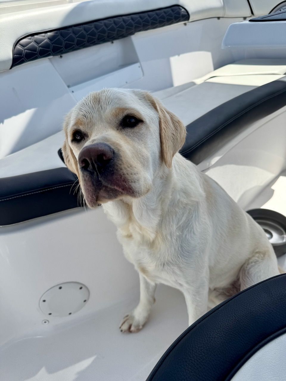 Little Philly making friends and new family everywhere he goes.