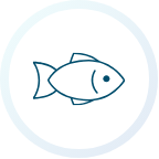 Blue house icon in a white circle.