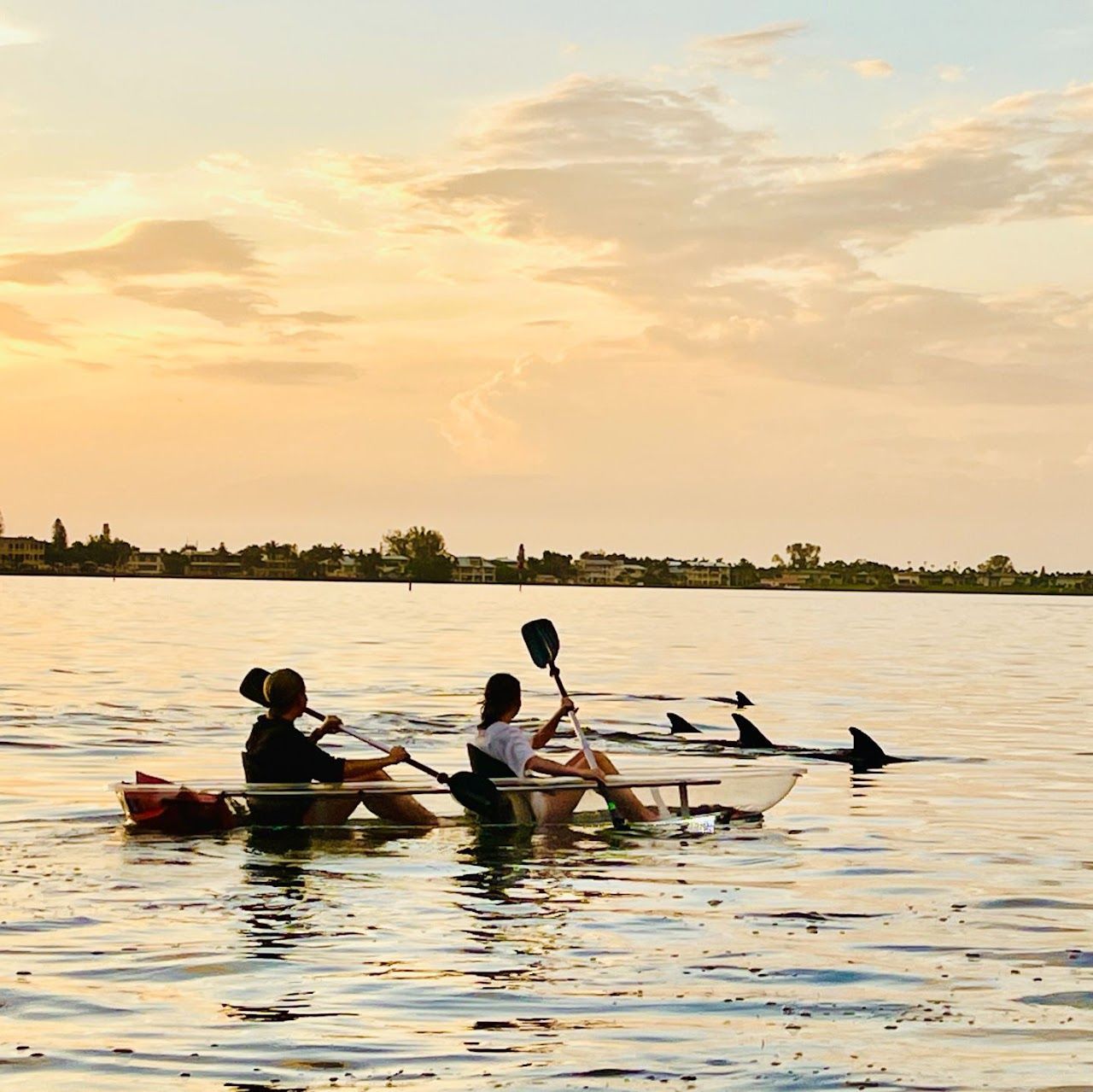Little Philly making friends and new family everywhere he goes. 