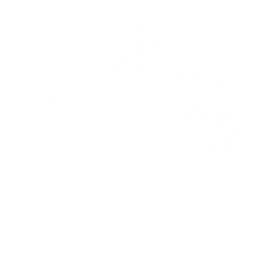 wild and wise women logo