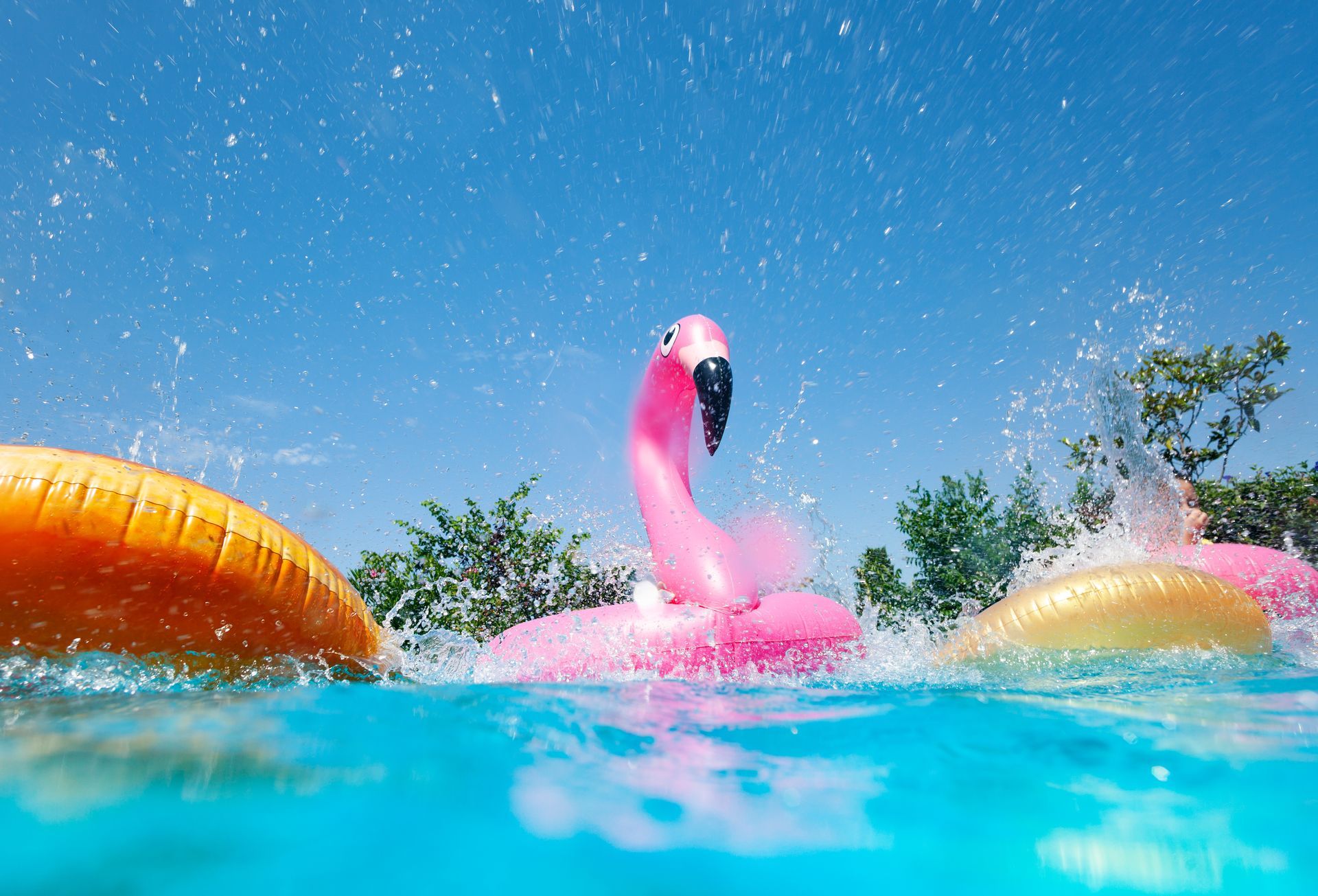A pink flamingo float is floating in a swimming pool.