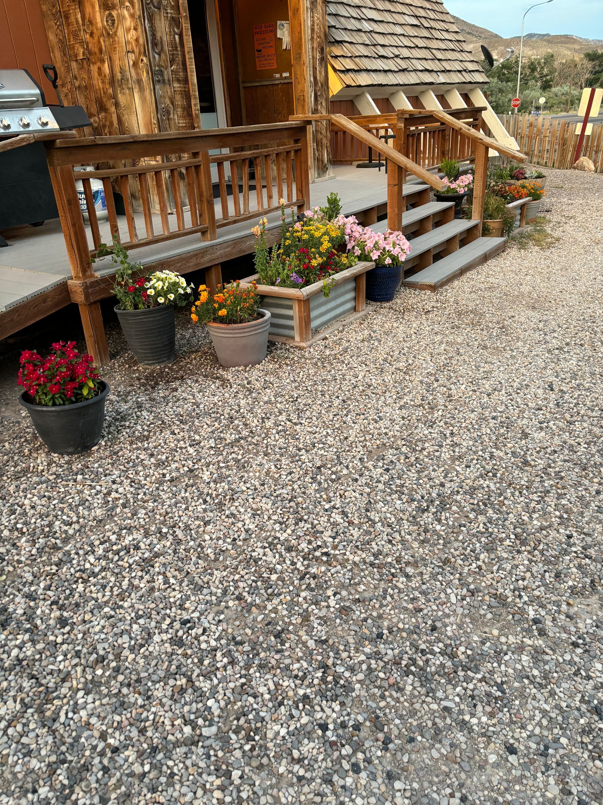 A gravel driveway with potted plants in front of a house.