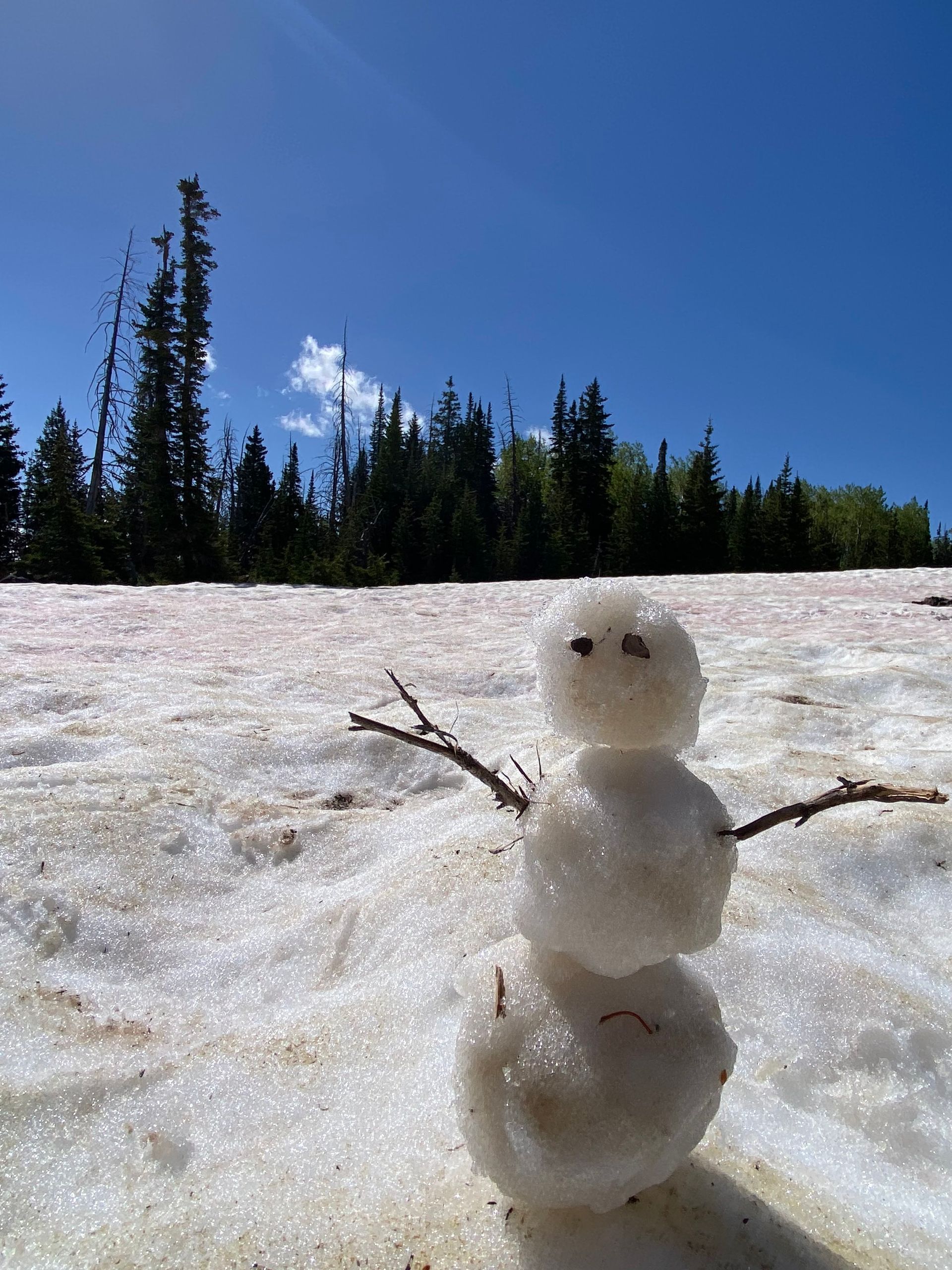 A snowman is standing in a snowy field with trees in the background