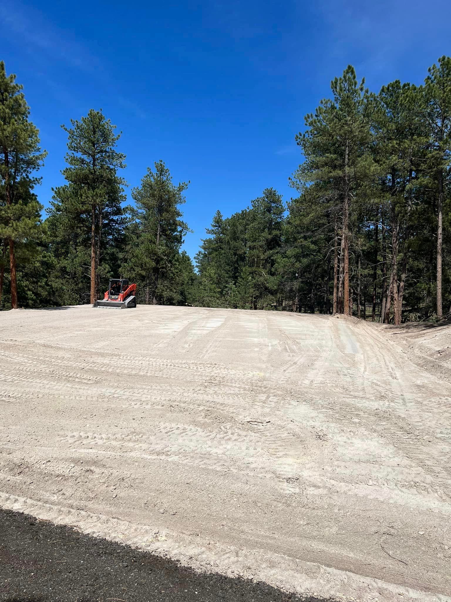 A dirt road with trees on the side of it and a blue sky in the background.