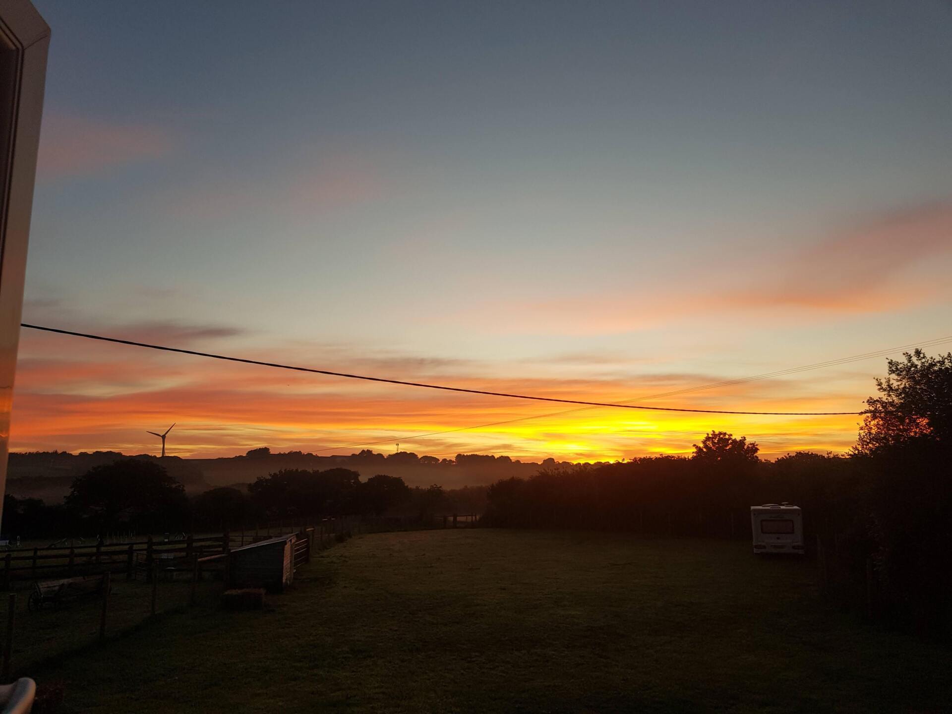 Secure Dog Woodland Hire