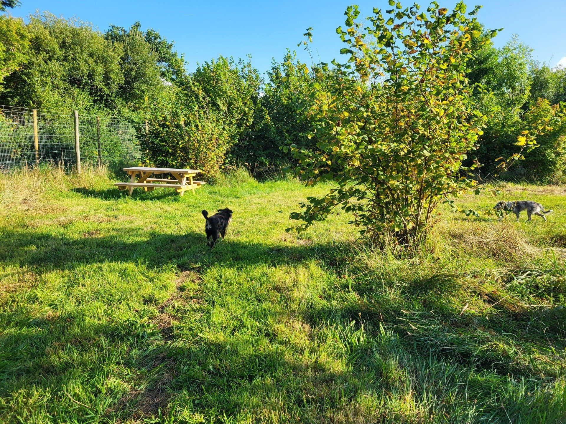Woodland to Hire Devon