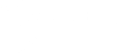 Sotera Investigative Group Logo Footer