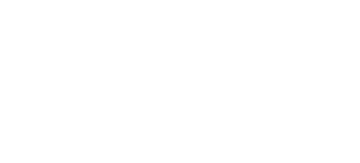 Sotera Investigative Group