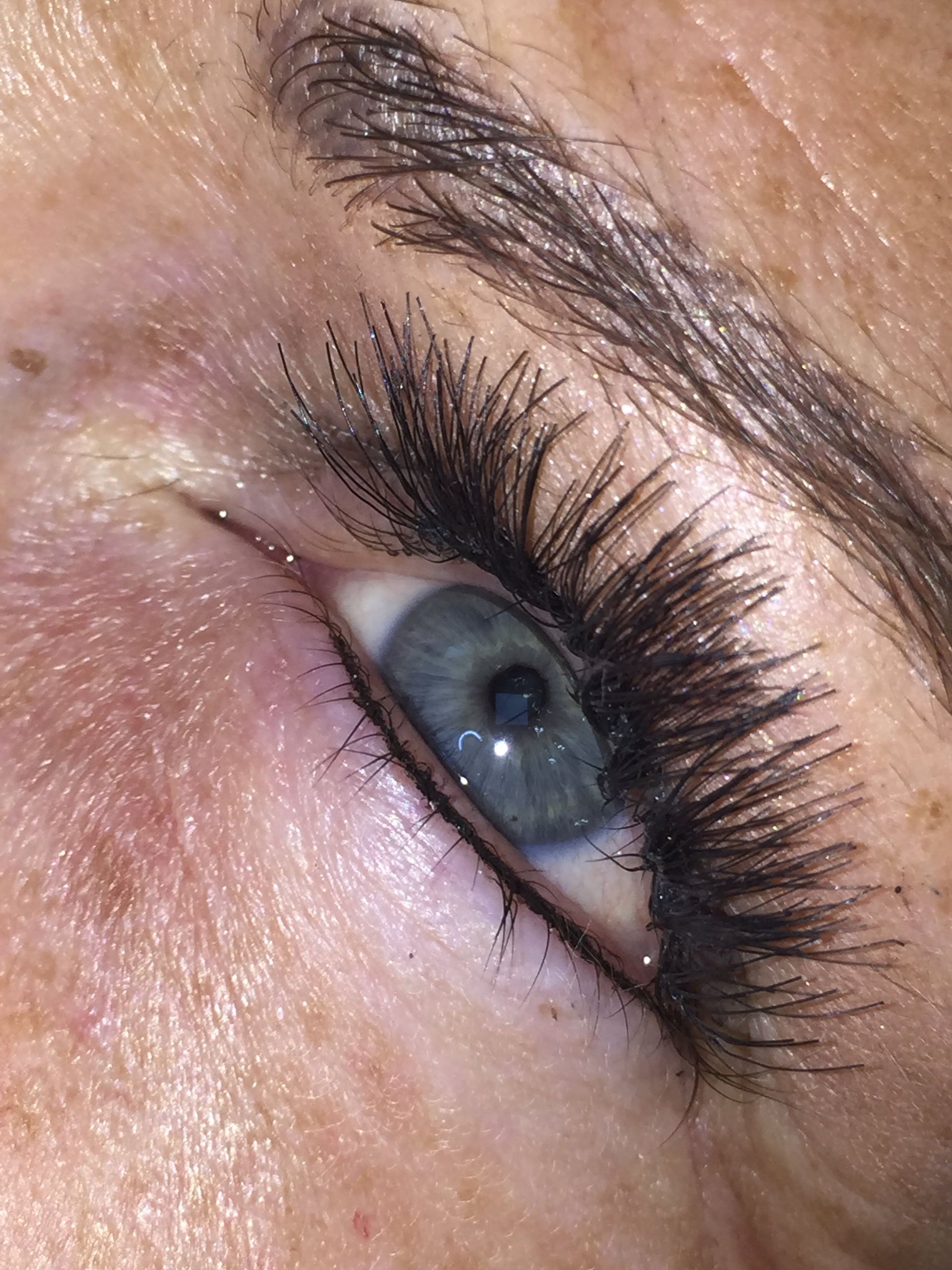 eye lashes