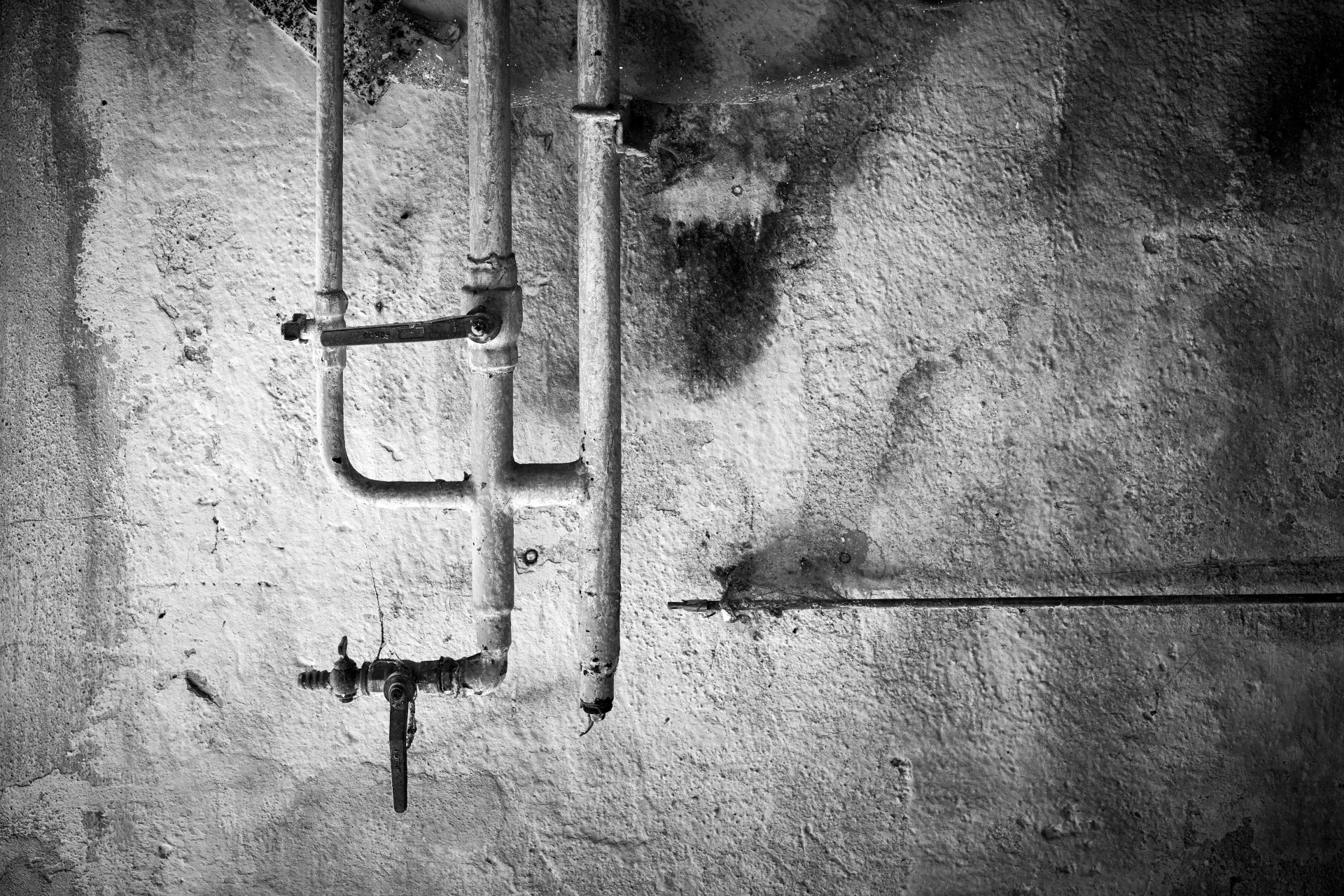 Pipes - Třešť, Czechia 2023 - Robert Swiderski