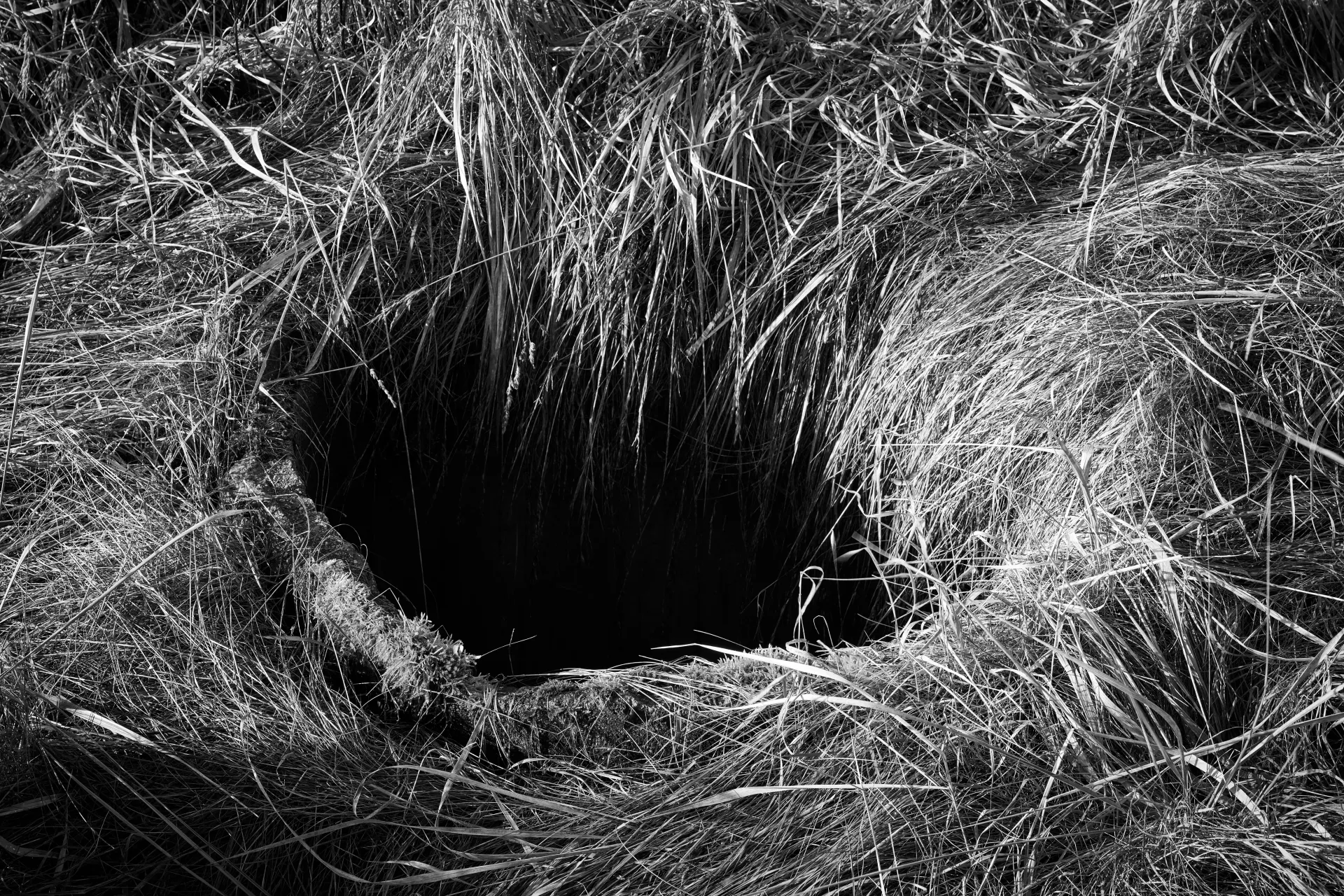 A hollow - Třešť, Czechia 2023 - Robert Swiderski