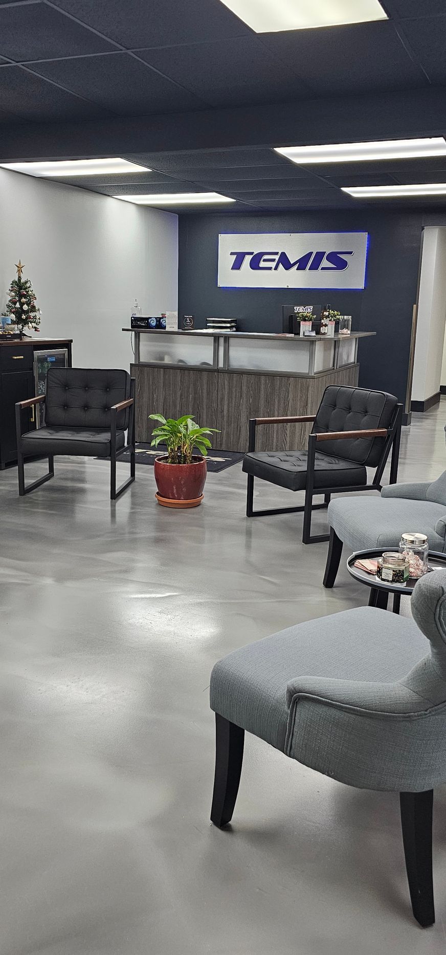 Auto Repair Shop Gallery Image | Temis Motorsports