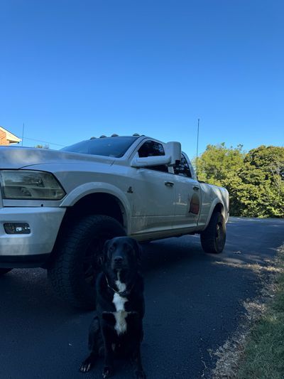 A Dog Is Standing Next To A White Truck On The Side Of The Road - Roanoke, VA - Duncan Design & Landscaping LLC