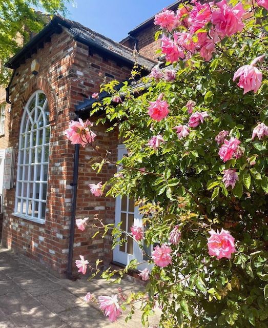Practitioner Rooms for rent