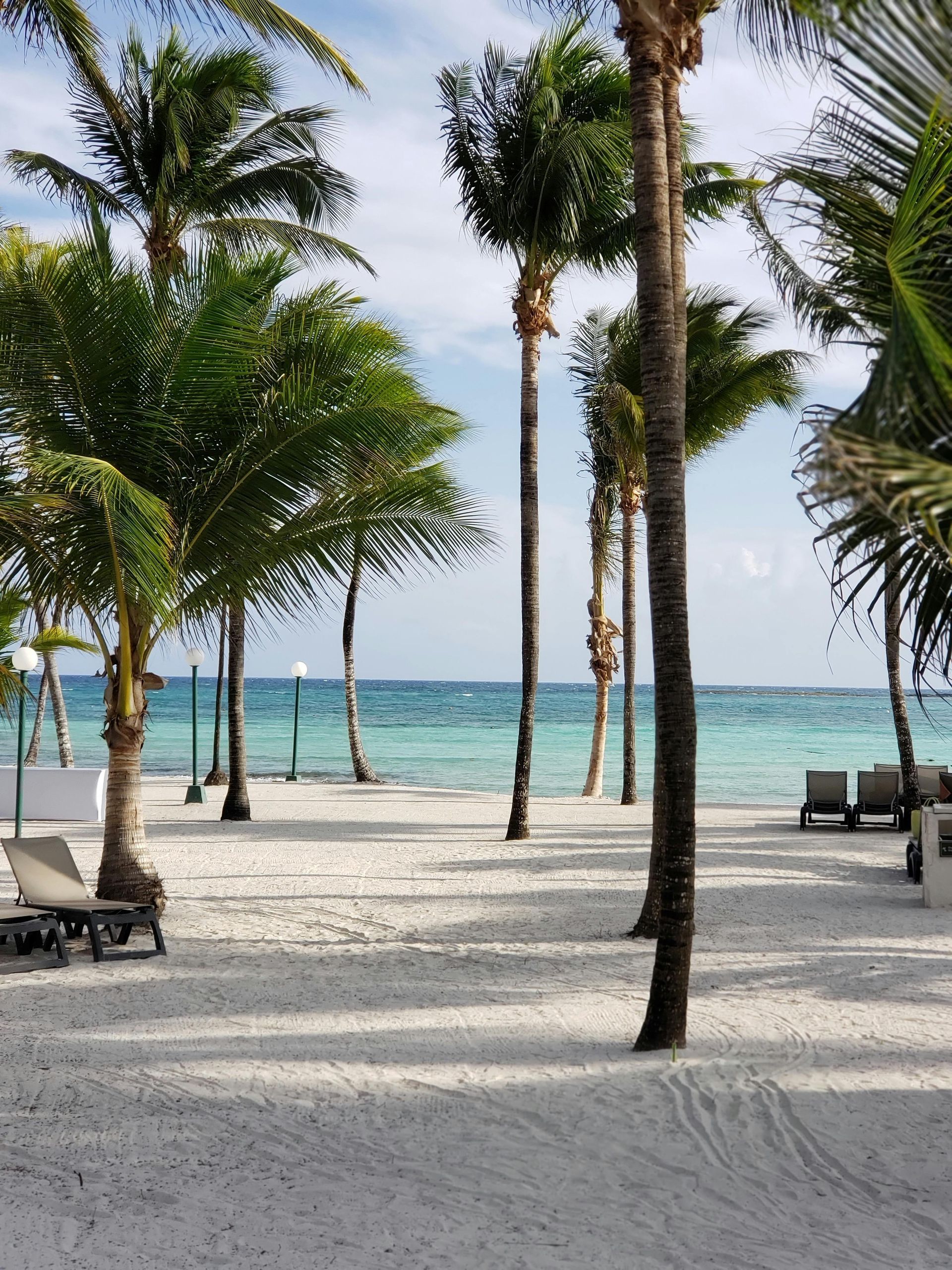 A beach with palm trees and chairs and a view of the ocean