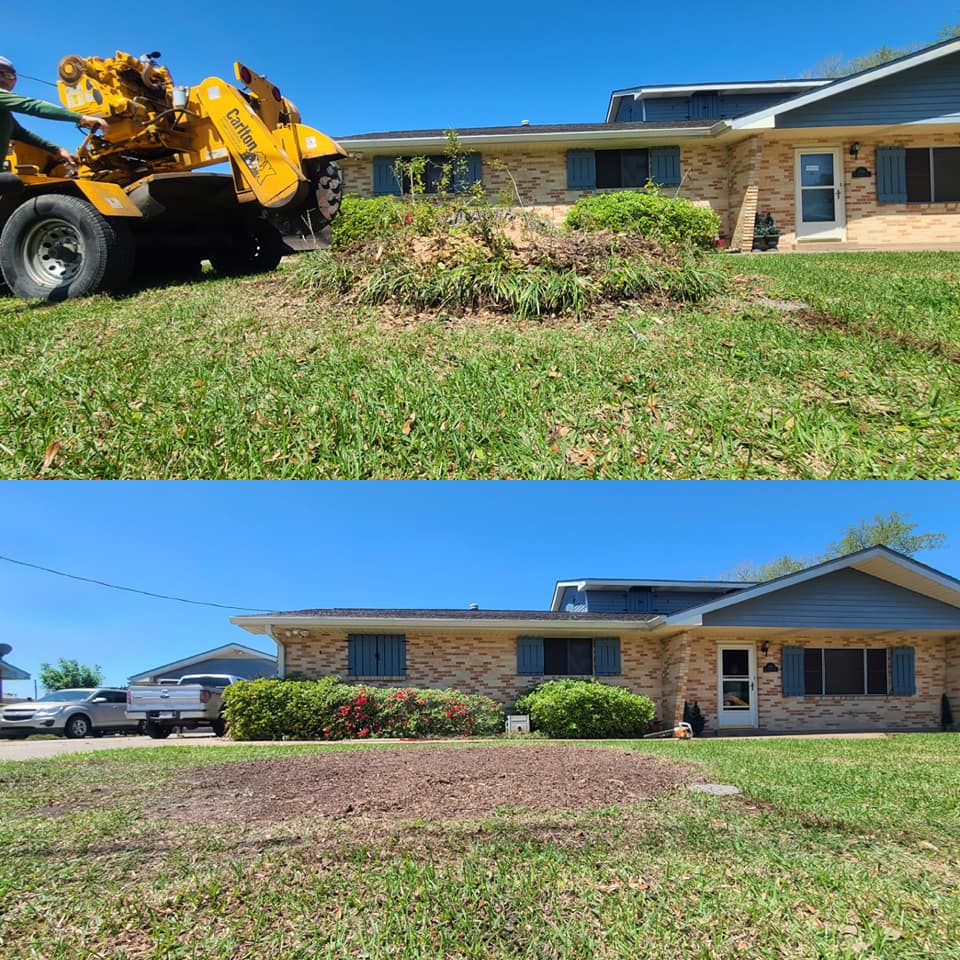 Stump Grinding — Matthews, LA — Andy’s Tree Service