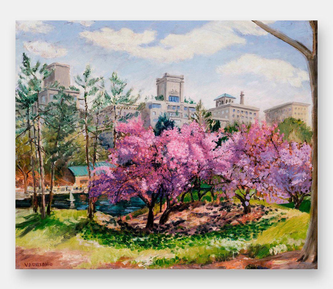Figurative Landscape Oil Painting - Central Park Spring  by John Varriano