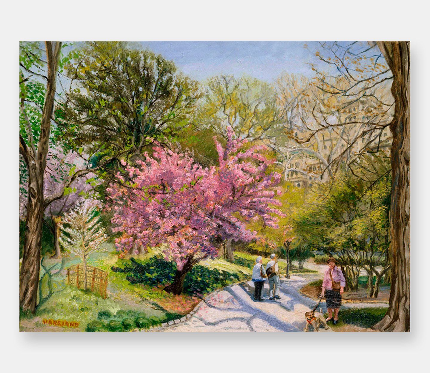 Figurative Landscape Oil Painting - Cherry Blossom by John Varriano