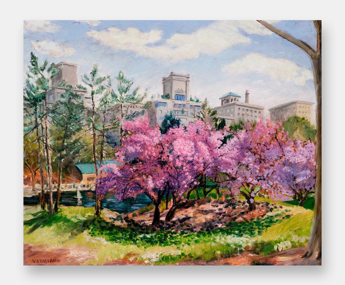 John Varriano - Central Park Spring - Landscape Oil Painting
