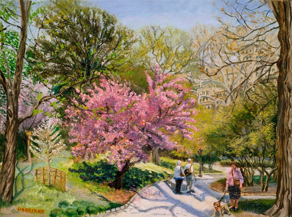 John Varriano, American Artist - Cherry Blossom - Oil Painting on Canvas