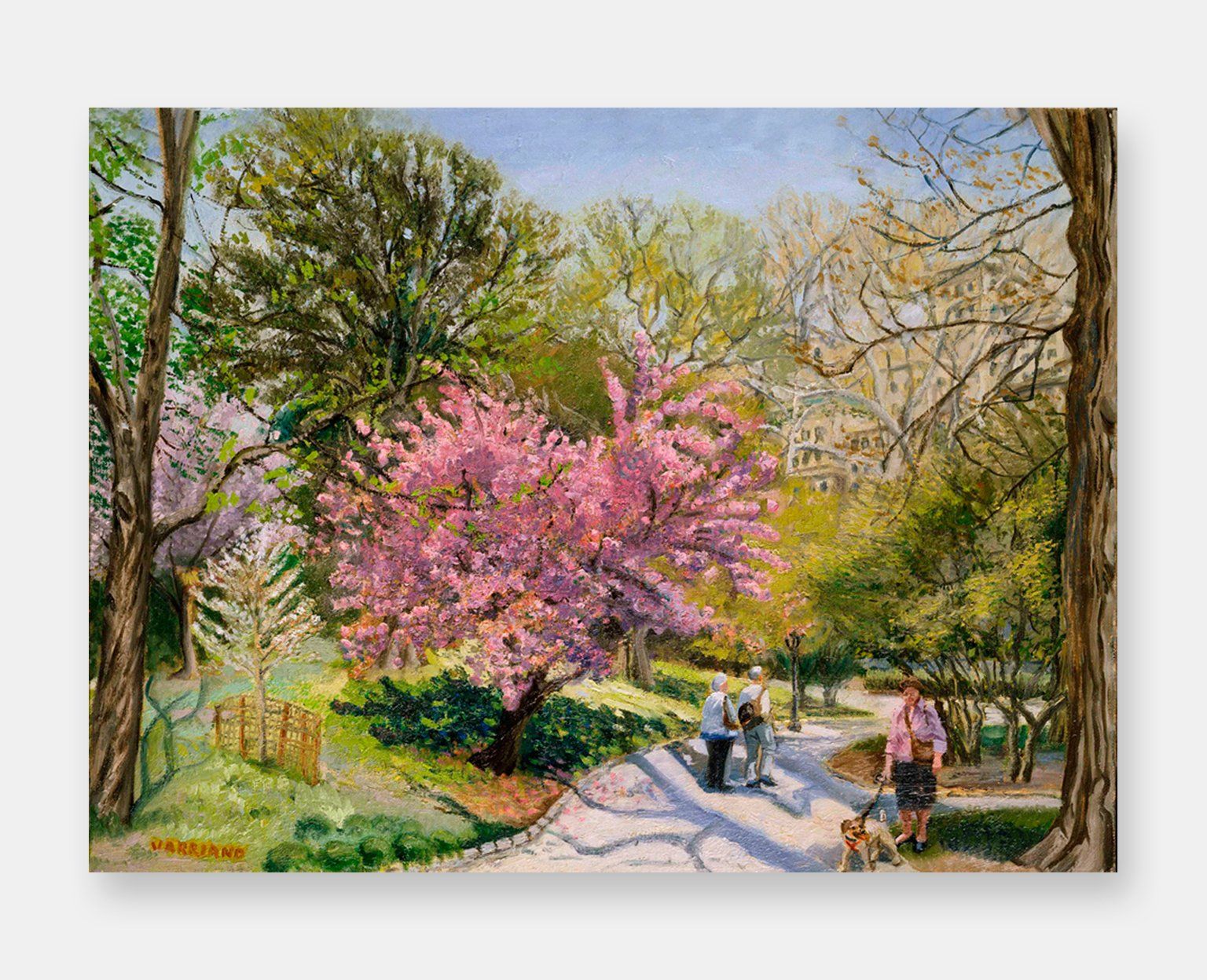 John Varriano - Cherry Blossom - Landscape Oil Painting