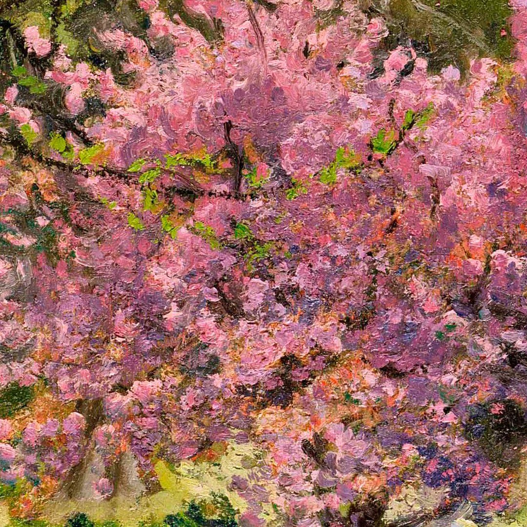 Cherry Blossom - View 5