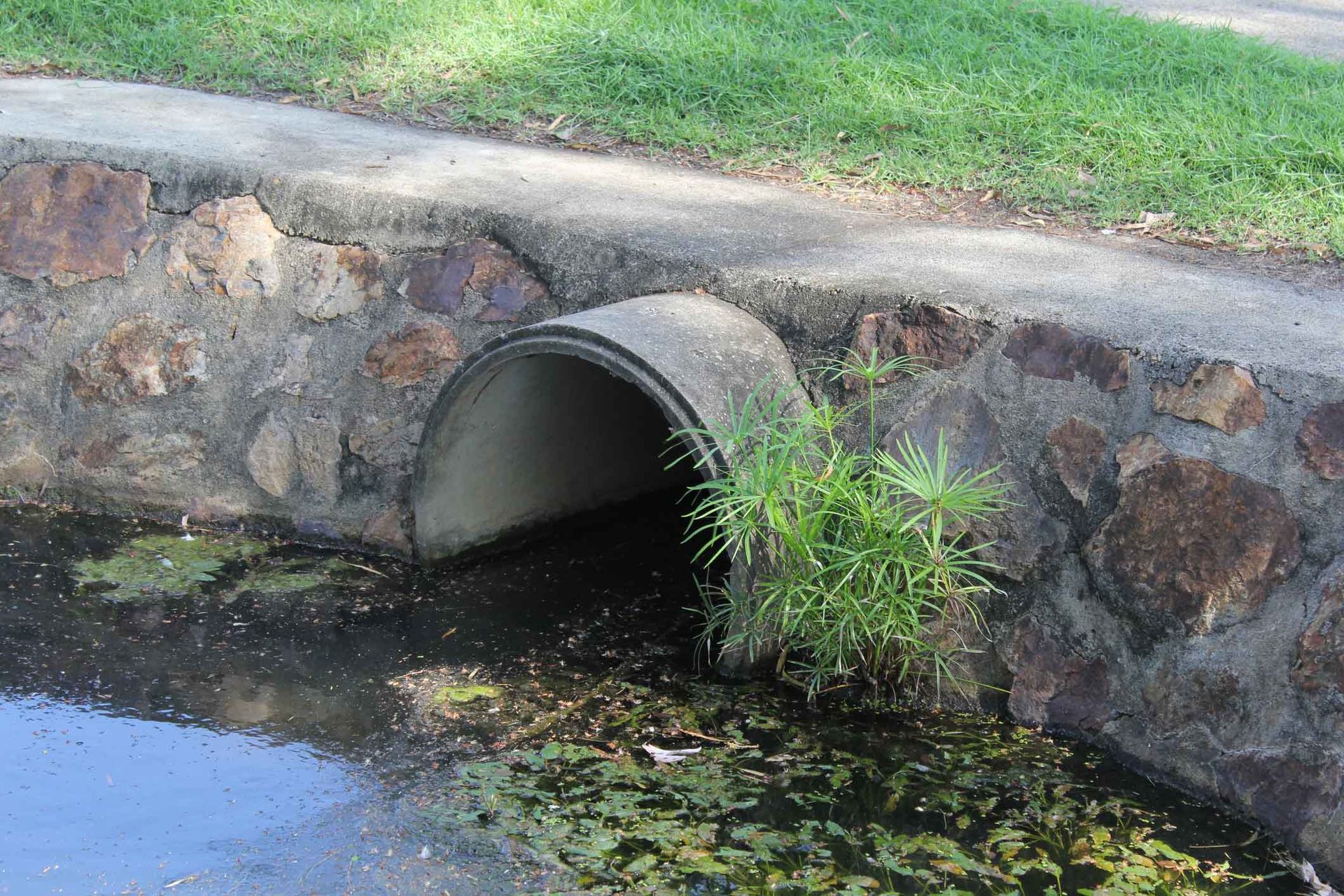 A pipe is coming out of a stone wall into a body of water.