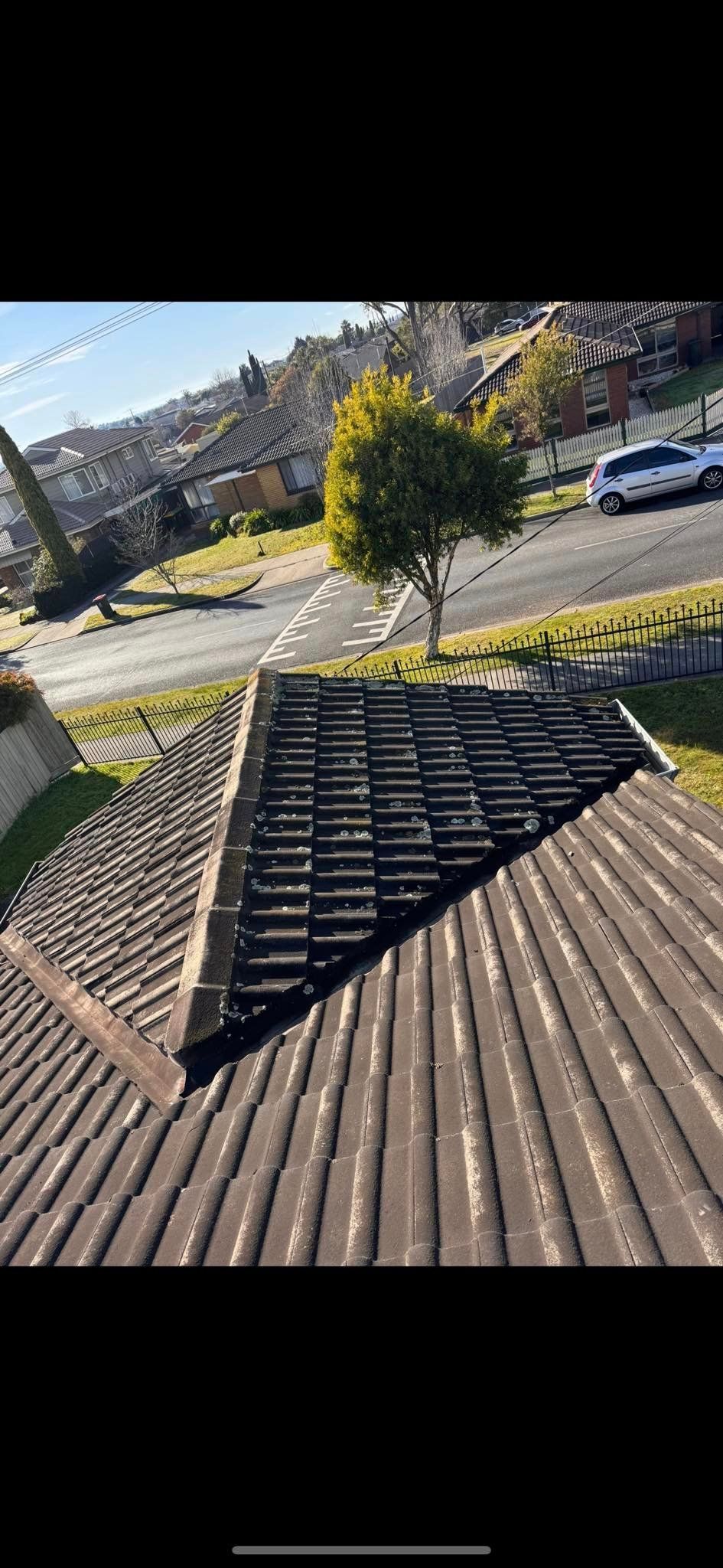 A roof of a house with a broken roof and a tree in the background.